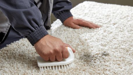 Professional Rug Cleaning Sassafras