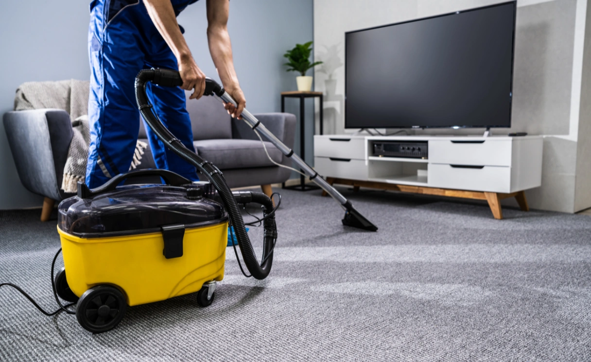 Extract Rug Cleaning Sassafras Contact Office